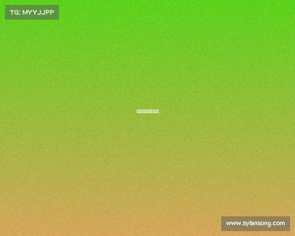 电子竞技裁判证等级